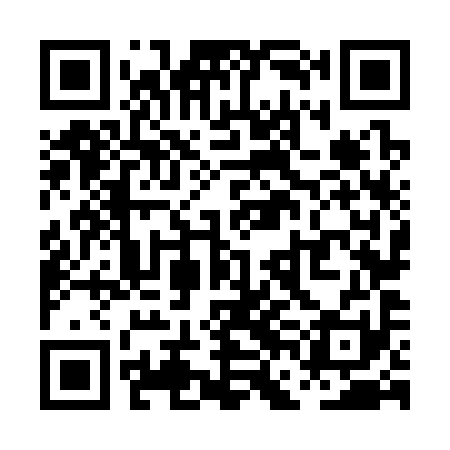 QR code for PFN391