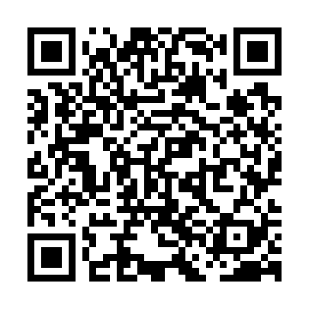 QR code for PFO729