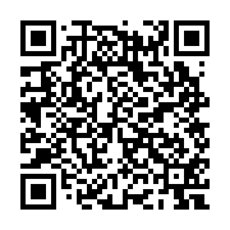 QR code for PGG311