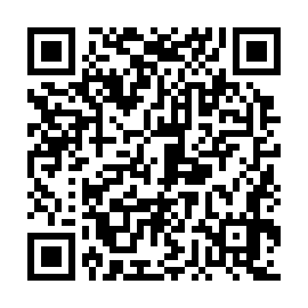 QR code for PGN377