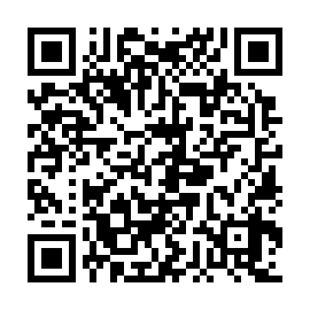 QR code for PGO338