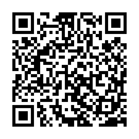 QR code for PHZ451