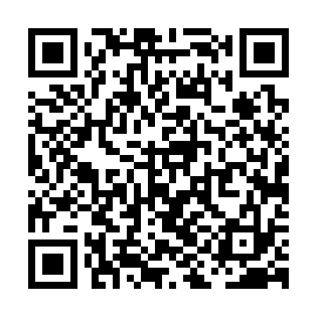 QR code for PID333