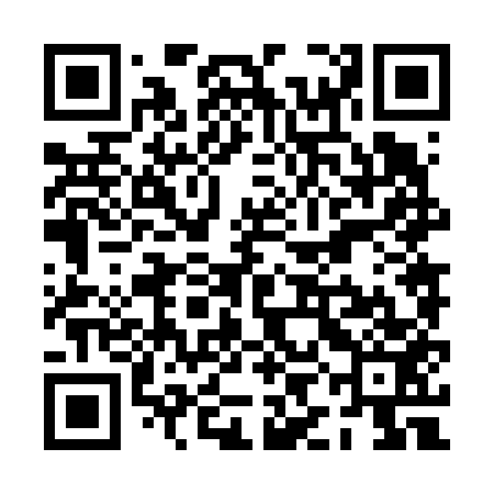 QR code for PIN653