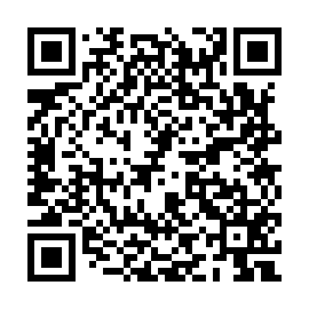 QR code for PIS955