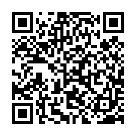 QR code for PIT493