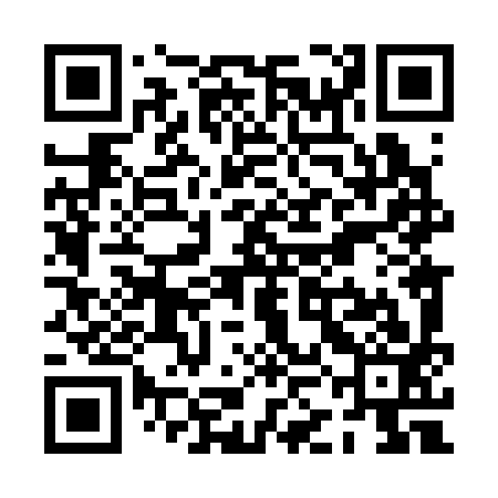 QR code for PKL393
