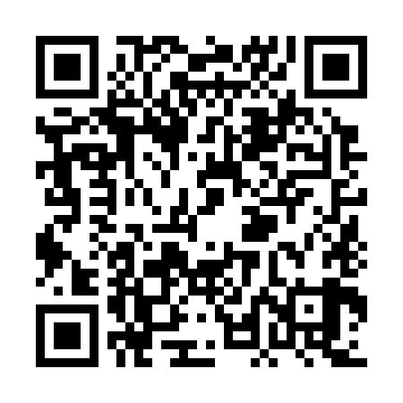 QR code for PLN389