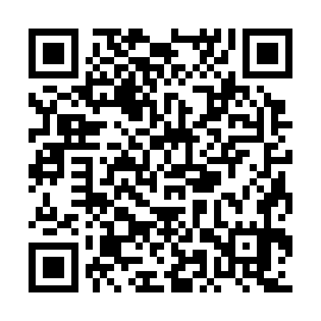 QR code for PMS375