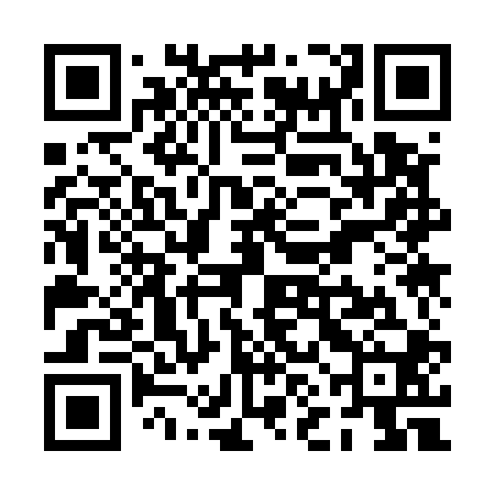 QR code for PNK500
