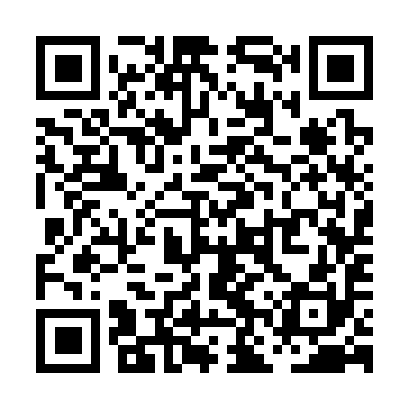 QR code for PNS390