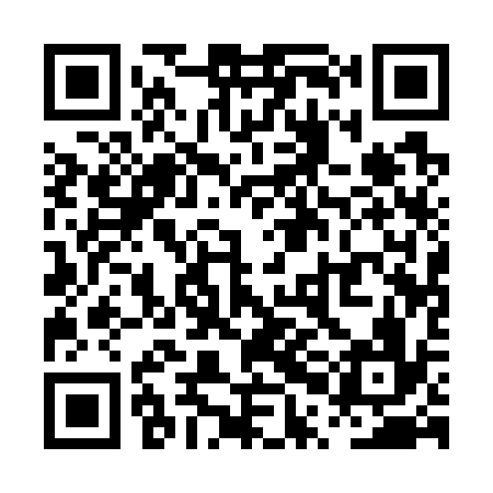 QR code for PPA736