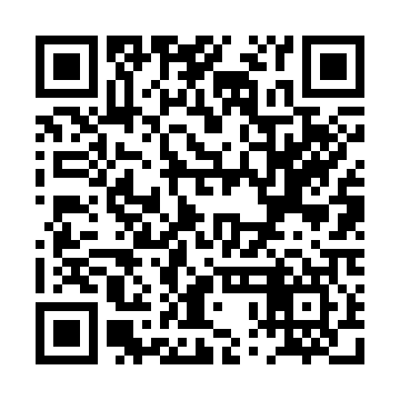 QR code for PPF307