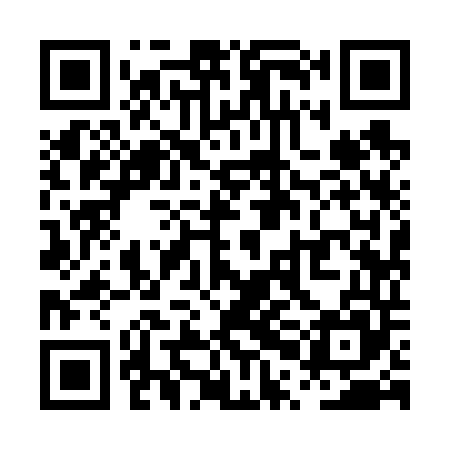 QR code for PPI645