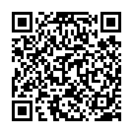 QR code for PUA611