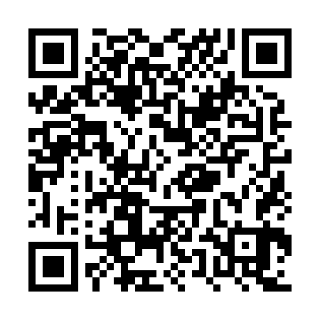 QR code for PUN863