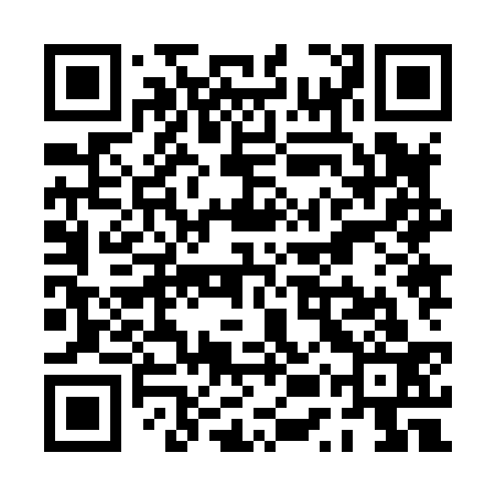 QR code for PUZ833