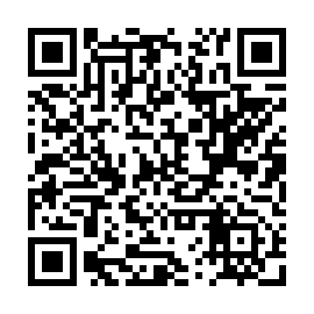 QR code for PVP653