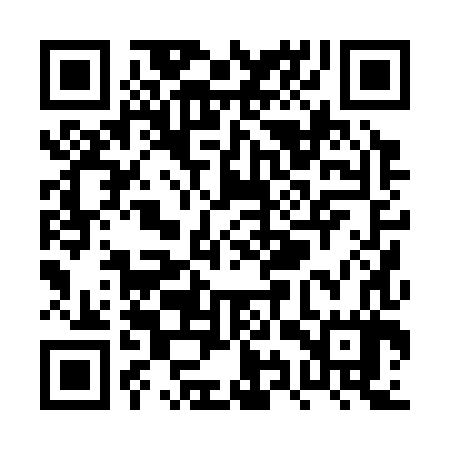 QR code for PYP387