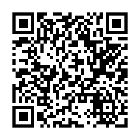 QR code for PYR685