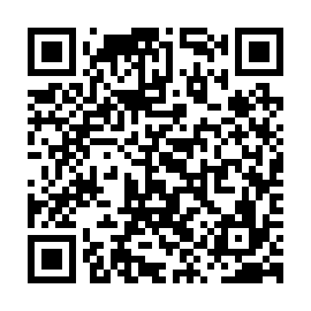 QR code for PYS236
