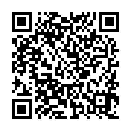 QR code for PYT995