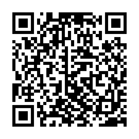QR code for PZG293