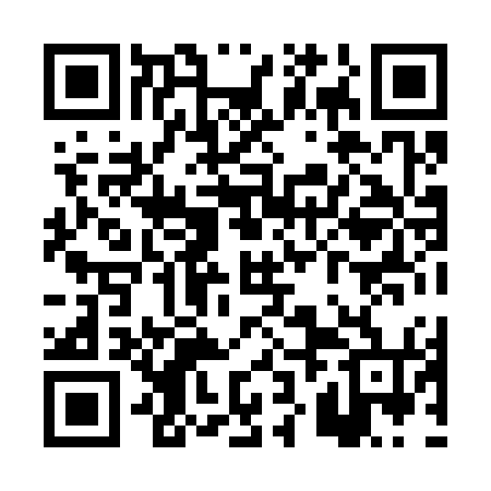 QR code for PZH374