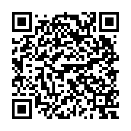 QR code for PZH651