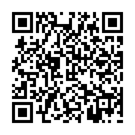 QR code for PZI008