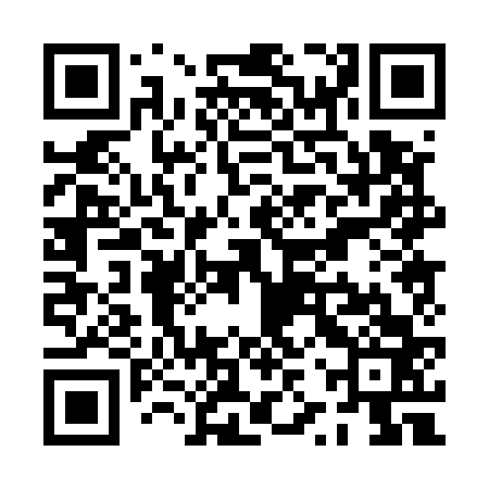 QR code for PZP563