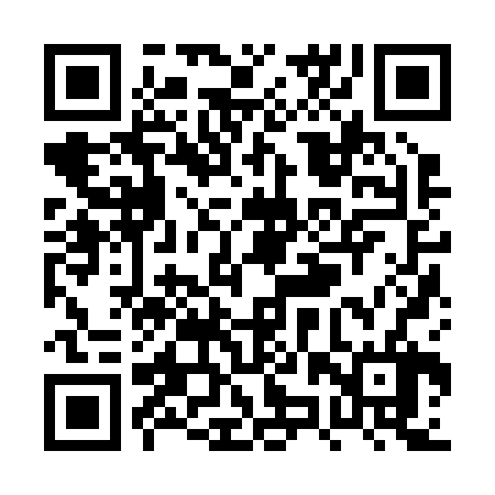 QR code for PZZ226