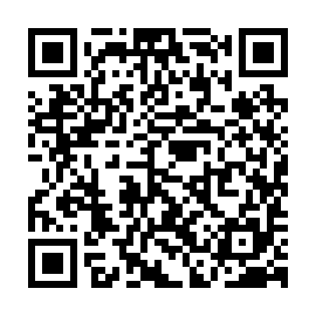 QR code for QCY295