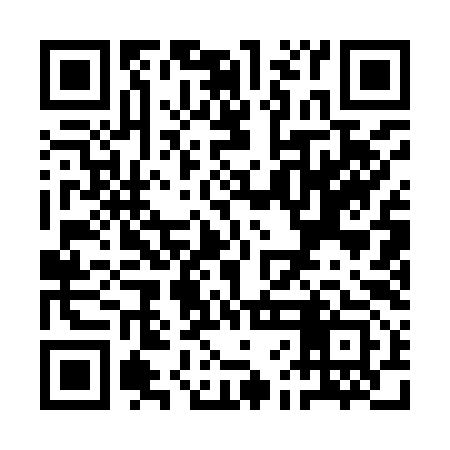QR code for QFA993