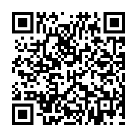 QR code for QFE991