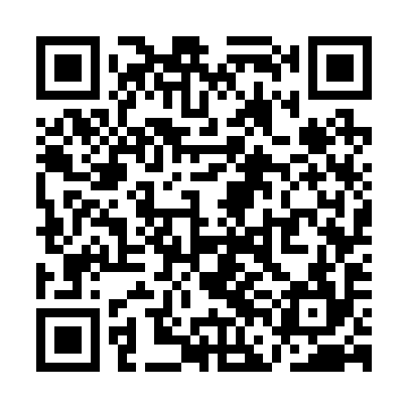QR code for QFG294