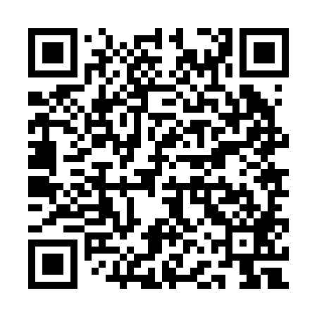 QR code for QFZ289