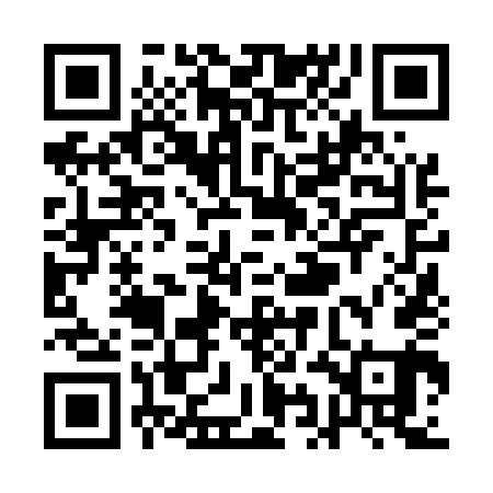 QR code for QIN541