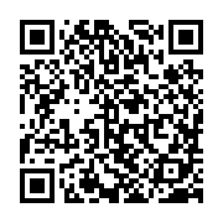 QR code for QIZ288