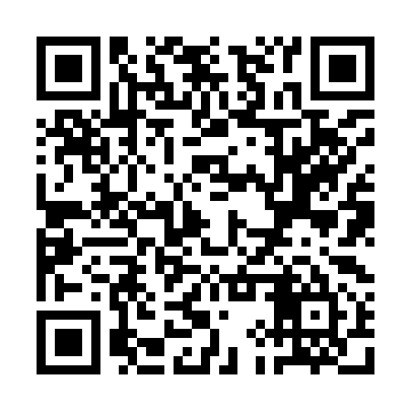 QR code for QIZ995