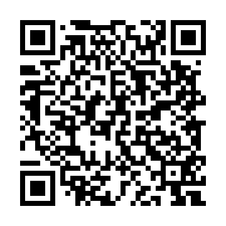 QR code for QJL551