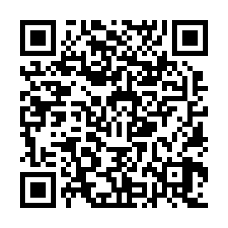 QR code for QJO228
