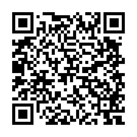 QR code for QJR489