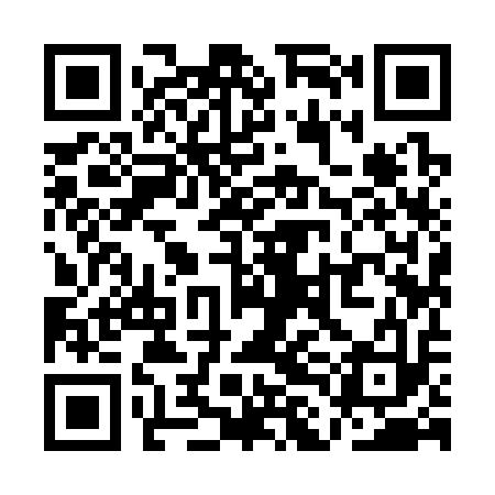 QR code for QLI313