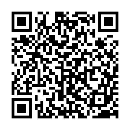 QR code for QLS953