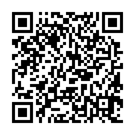 QR code for QLU384
