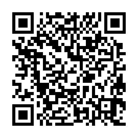 QR code for QMG383