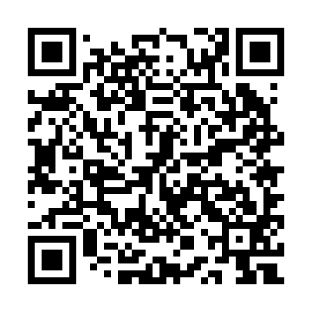 QR code for QPU293