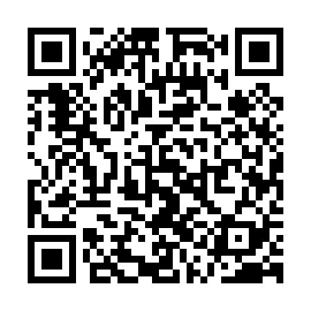 QR code for QQE029