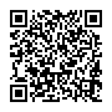 QR code for QYE393